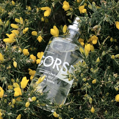 Laboratory Perfumes Gorse Eau de Toilette | A Bright, Sunlit Fragrance | Zesty Citrus, Spiced Cardamom & Warm Musk | Light, Sophisticated & Distinctly Modern (100ml)