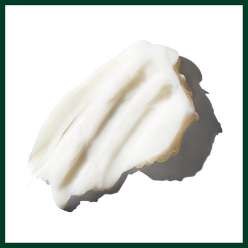 Aveda Brilliant Conditioner | Hydrating, Detangling, Smoothing Conditioner | Adds Shine | with Jojoba and Babassu Oils | for All Hair Types, 6.7 Fl Oz