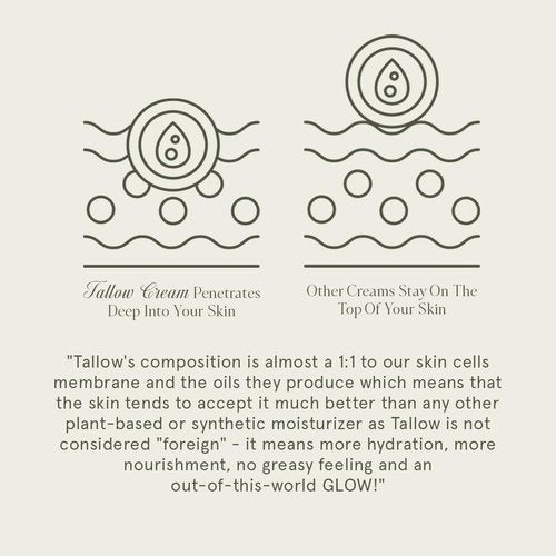 KUSHI Grass-Fed Whipped Tallow Cream Moisturizer for Face & Body – Organic Lavender – Vitamins A, D, E, K – Paraben & Sulfate Free, All-Natural Skin Care – 1.3oz