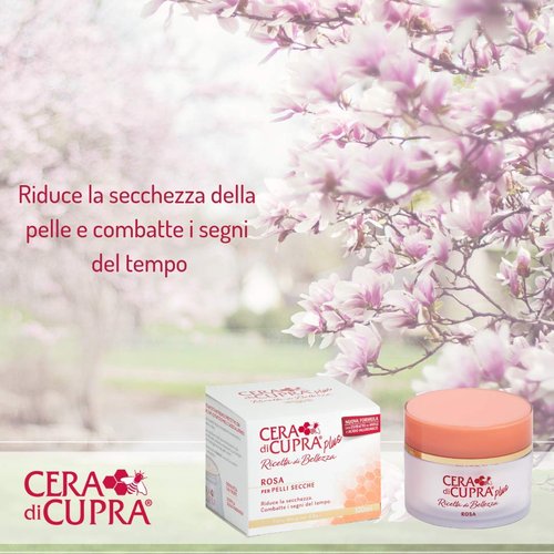 Cera di Cupra Plus"Rosa per Pelli Secche" Cream for Dry Skin, Anti-age Formula - 3.4 Fluid Ounces (100ml) Jar [ Italian Import ]