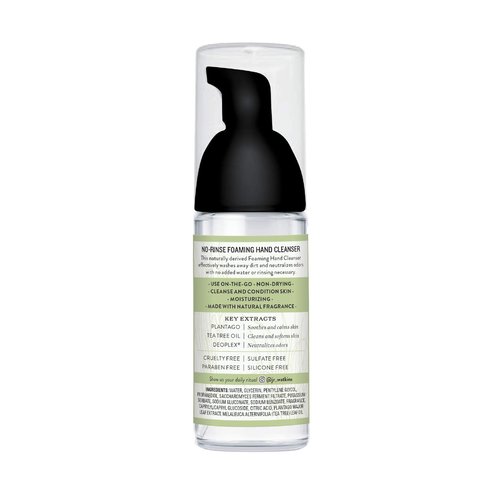 J.R. Watkins No-Rinse Foaming Hand Cleanser – Hand Soap in Pump Dispenser – Bathroom & Kitchen Foam Cleaner – All Natural, Alcohol Free, Lemongrass, 1.6 fl. Oz., 6 Pack