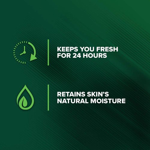 Irish Spring Ultimate Wake Up Tea Tree Face & Body Wash for Men, Moisturizing Body Wash Washes Away Bacteria - 18 Fluid Ounce, 4 Pack