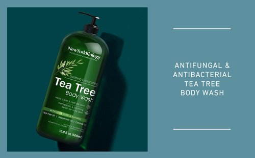 New York Biology Tea Tree Body Wash with Tea Tree Shampoo and Conditioner Set – Helps Itchy Skin Conditions & Body Odor - Deep Cleanser – Relief for Dandruff and Itchy Scalp – 16.9 fl. Oz