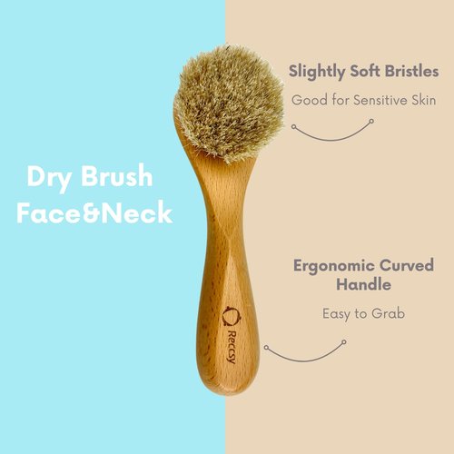 4pcs Dry Brushing Body Brush Set for Lymphatic Drainage-Natural Bristle Dry Skin Brush +Facial Dry Brush for Face+Dry Skin Exfoliating Scrubber+Wood Therapy Massage Tool. Gua Sha, Anti-Cellulite.