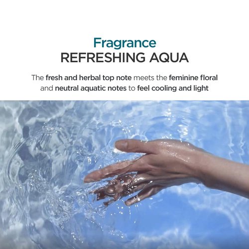 AYUNCHE Refreshing Shampoo for Oily Scalp, 11.8oz Purifying & Cool Down | Powerful Cooling & Deep Cleansing | Anti-Dandruff Shampoo | Korean Salon Brand