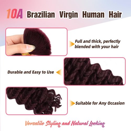 Human Braiding Hair, 2 Bundle 100g 16 Inch Boho Braids Human Hair 10A Deep Wave Bulk Brazilian Virgin No Weft Wavy Hair Extension for Boho Knotless Bohemian Micro Braid Bulk for Braiding 99J
