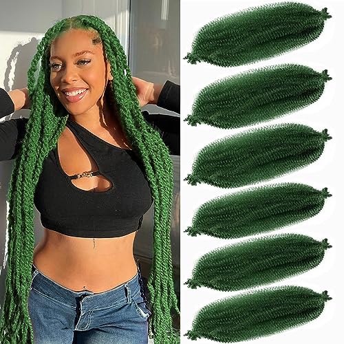 Afro Twist Hair 6Packs 24Inch Springy Afro Twist Hair Synthetic Marley Crochet Braiding Hair (24 Inch (Pack of 6), D-Green) ¡¦