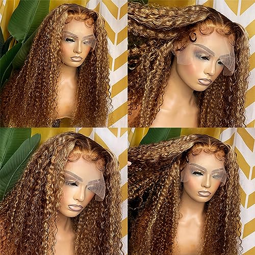 30 Inch 4/27 Highlight Ombre 13x6 Lace Front Wigs Human Hair Deep Wave Wig for Black Women Pre Plucked with Baby Hair 180% Density Brazilian Virgin Deep Curly Lace Frontal Wet and Wavy Human Hair Wigs