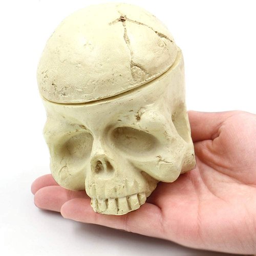 Skull Tattoo Ink Cup Holder - Yangna Skull Head Tattoo Ink Cap Holder 7 Holes Stand Hard Resin Pigment Cap Holder