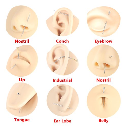 AccGin 4Pcs 316L Surgical Steel Piercing Taper Insertion 16G 18G 20G External/Threadless/Internal Thread Bar Taper Insertion Pins Pop Taper Piercings Kit for Ear/Nose/Lip/Eyebrow/Belly/Nipple/Tongue Piercing Changing Tool Stretcher Body Piercing Kit Assis