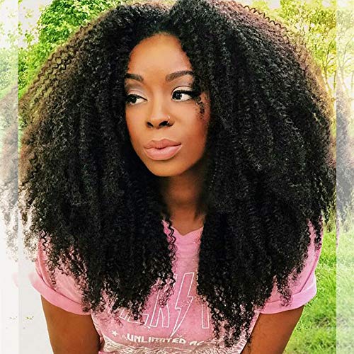 zigzag hair Afro Curly 13x6 Lace Front Wigs for Black Women Brazilian Pre Plucked Deep Part Lace Front Human Hair Wig 150% Density With Baby Hair (14inch, 150% Density)