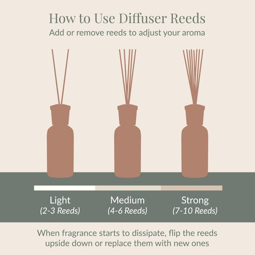 Archipelago Botanicals Pomegranate Citrus Reed Diffuser Oil Refill, Home Fragrance Oil for Diffuser, Long-Lasting Natural Home Fragrance, Diffuser Oil Scents, 7.85 Fl Oz