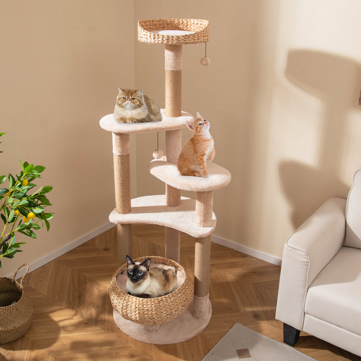 Beige 65-Inch Cat Tree with Perch, Hammock & Multiple Activity Layers