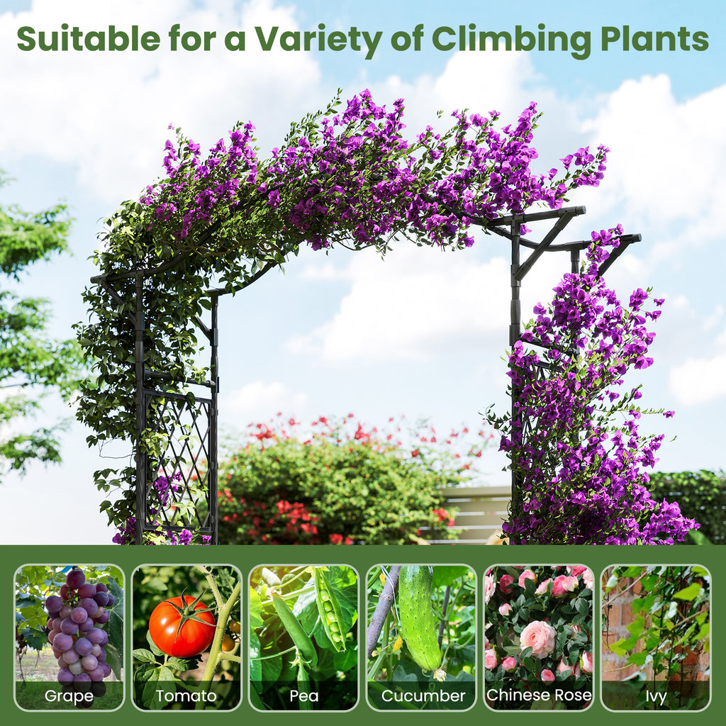 67 x 83 Inch Garden Arch Trellis - Black
