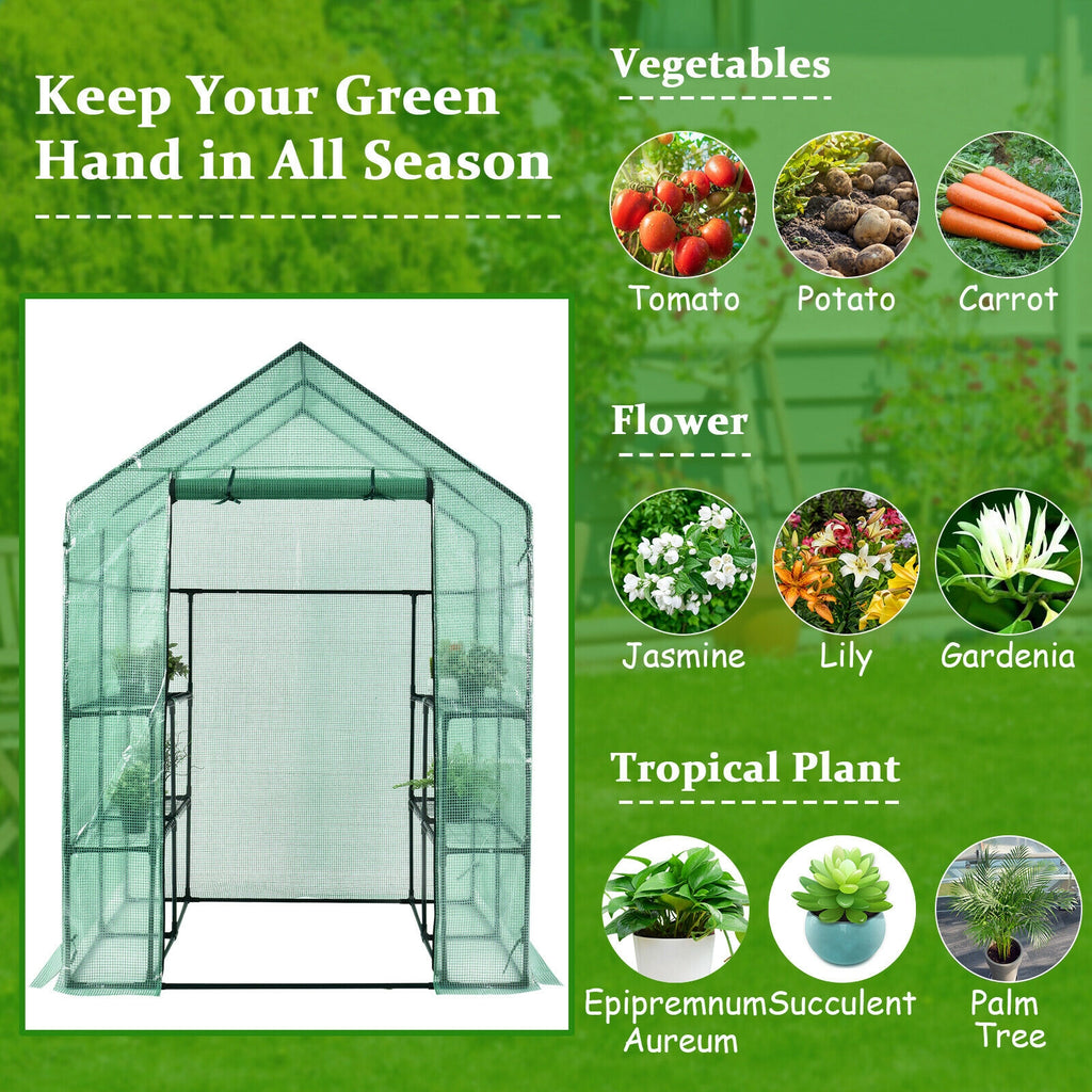 56 x 77 Inch Walk-in Greenhouse with Observation Windows