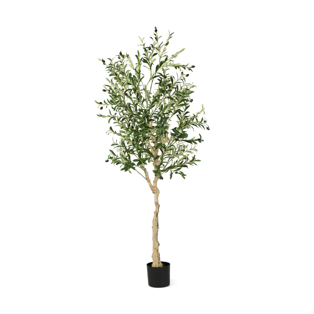 2 Pieces Artificial Olive Tree in Cement Pots - 6 Feet Tall, Realistic Indoor Outdoor Decor