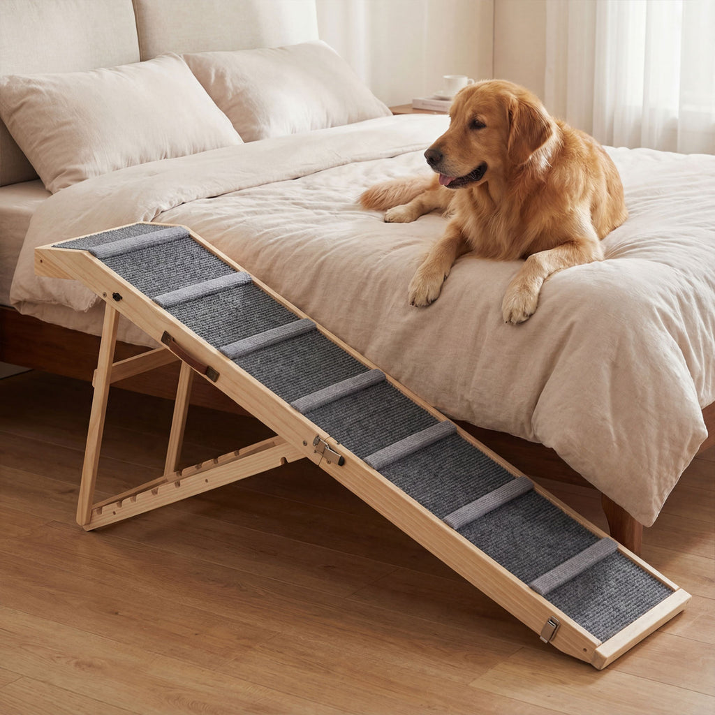 Foldable Dog Ramp - 6-Level Height Adjustable for High Beds & Couches - Dark Gray