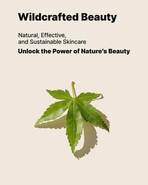 MAY COOP Raw Eye Contour - Korean Eye Cream for Under Eye Care with Sugar Maple Extract 50% & Adenosine Peptides - Hydrating, Firming, Moisturizing for Sensitive Skin, 0.67 fl. oz.