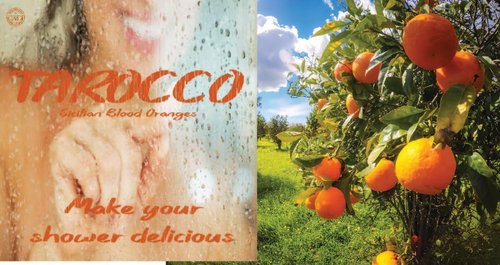 Baronessa Cali Tarocco Blood Orange Hand Cream - Refreshing and Replenishing - 4 Fluid Ounces