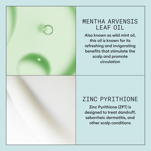 Nioxin Scalp Recovery System Scalp Soothing Serum | With Pyrithione Zinc and Green Tea Extracts | 3.38 Fl Oz