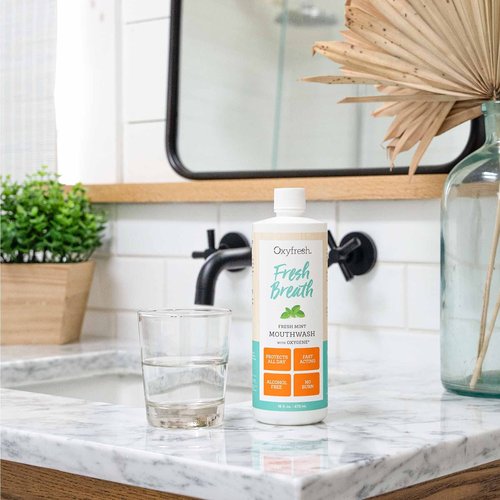 Oxyfresh Fresh Mint Flavored Mouthwash for Adults, Fresh Breath & Bad Breath Treatment – Dentist Recommended for Long - Lasting Fresher & Healthy Gums - Alcohol & Fluoride Free - 16 Fl Oz (Pack of 3)