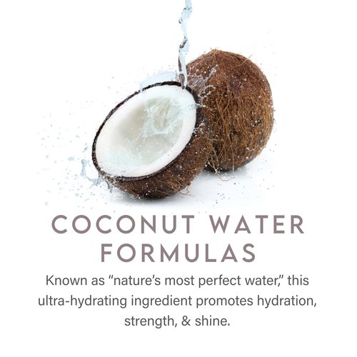 ALURAM Coconut Water Moisturizing Conditioner for Men and Women, Clean Hydration and Shine for Medium to Coarse Textured Hair, 12 Fl Oz