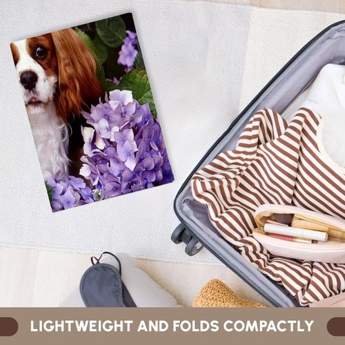 3D Rose Cavalier King Charles Spaniel TWL_61913_1 Towel, 15" x 22"