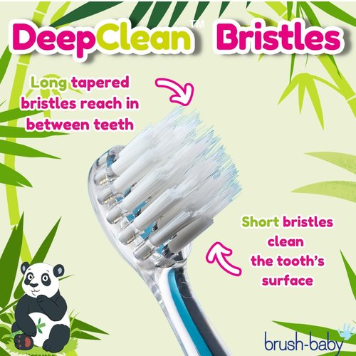 BrushBaby - WildOnes - Kids Rechargeable Electric Toothbrush, Ages 0-10 - Pan-Pan Panda Design with Flashing Lights - DeepClean Bristles for Superior Cleaning - 2 Replacement Brush Heads, 1 USB Cable