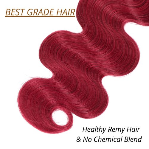 Anmetan Red Burgundy Bundles Human Hair Body Wave, 12A Colored Bundles Human Hair 100% Unprocessed Remy Hair, Soft and Thick Burgundy Cherry Red 99J Single Wavy Sew in Quick Weave Double Weft 12 Inch