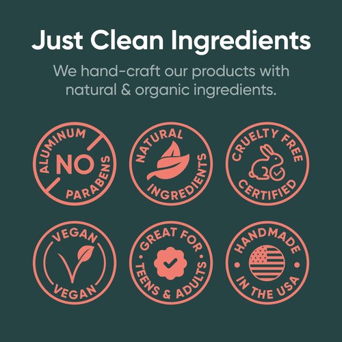 Pretty Frank Natural Aluminum-Free Deodorant Stick with Charcoal, Baking Soda-Free, Charcoal Seaside (2-Pack) | Sensitive Skin Friendly, Effective Odor Control for Women & Men, Organic Ingredients