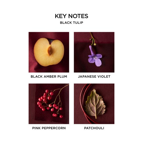 NEST New York Black Tulip Eau de Parfum (Travel Spray) - 8 mL - Vegan & Cruelty Free