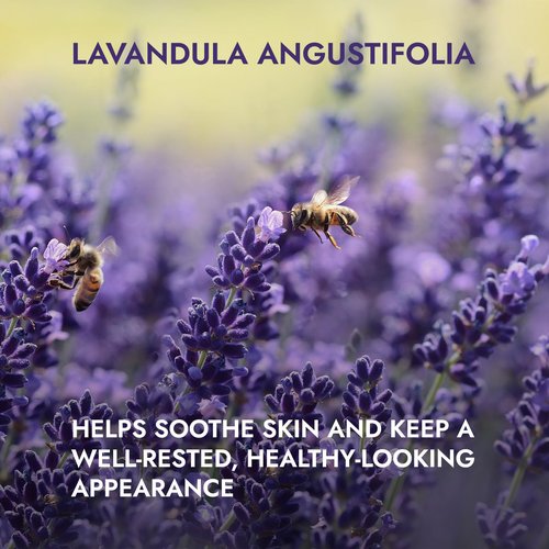 Alteya Organics Lavender Water USDA Certified Organic Facial Toner, 17 Fl Oz/500mL Pure Bulgarian Lavandula Angustifolia Flower Water, Award-Winning Moisturizer BPA-Free Bottle with Reducer