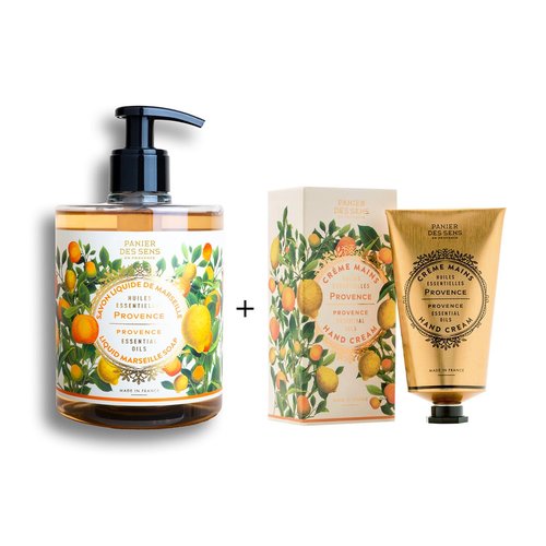 Panier des Sens – Provence Foaming Liquid Hand Wash & Moisturizing Hand Cream – Hand Soap and Lotion Set - with Coconut Oil, Shea Butter – French Hand Care – Gentle Formula – 97% Natural Ingredients