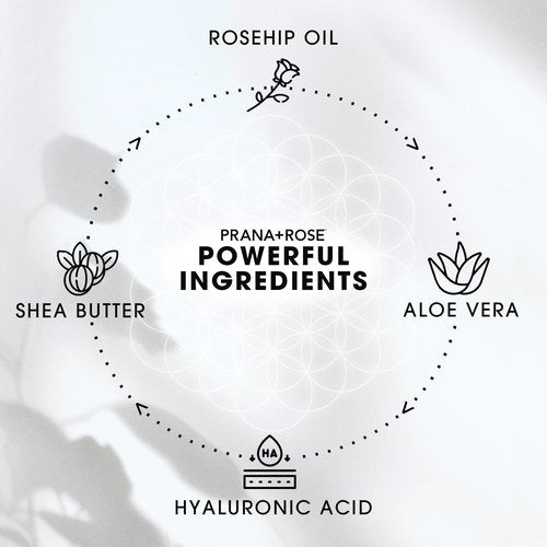 PRANA+ROSE MADE IN THE USA Ultra Moisturizing Shea Butter Lotion with Hyaluronic Acid and Rosehip Oil for anti-aging ORGANIC VEGAN body and hand lotion 16oz (Unscented)