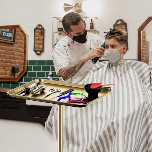 Salon Tray, Premium Metal Rolling Tray Cart, Tattoo Tray Height Adjustable, Dentist Tray Medical Tray Spa Service Rolling Tray,Champagne Gold