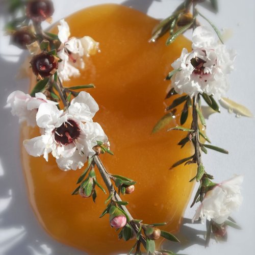 Lanocreme New Zealand Lanolin Face Cream with Active Manuka Honey 100g ( Pack of 3)