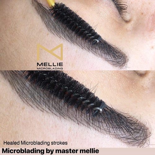 Mellie Microblading Pigment – Medium Brown 10 ml/.35fl.oz | Medical Grade | No Mixing | Long Lasting for Professionals Permanent Make Up Supplies