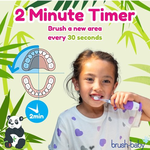 BrushBaby - WildOnes - Kids Rechargeable Electric Toothbrush, Ages 0-10 - Pan-Pan Panda Design with Flashing Lights - DeepClean Bristles for Superior Cleaning - 2 Replacement Brush Heads, 1 USB Cable