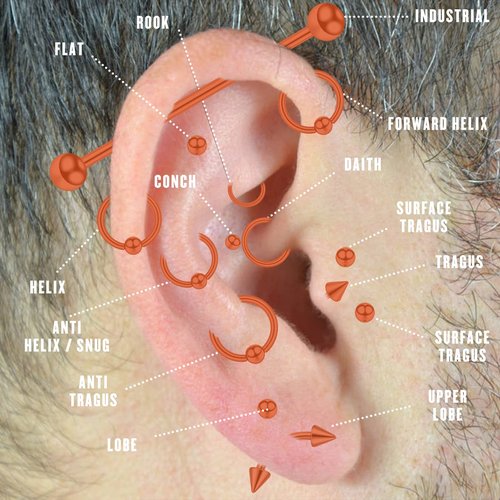 LOYAL BOOK 104pcs Piercing Kit 14G16G Kit Piercing Kits for all piercings (Stainless steel color)