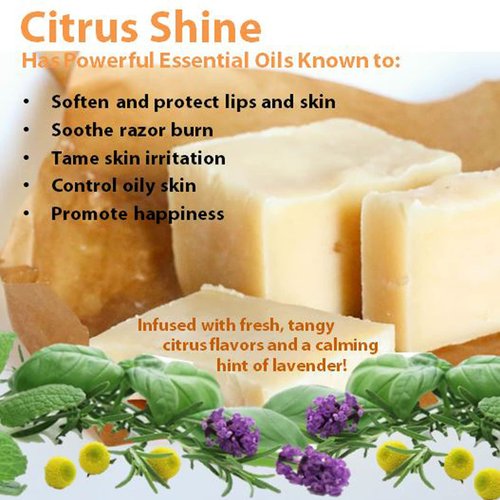 Vintage Tradition Beef Tallow All Purpose Balm – Healing, Hydrating Citrus Oil Skin Care Salve Replaces Body Lotion, Hand Cream, More – Essential Oil,a Olive Oil, and Grass-Fed Tallow, 2 fl. oz.