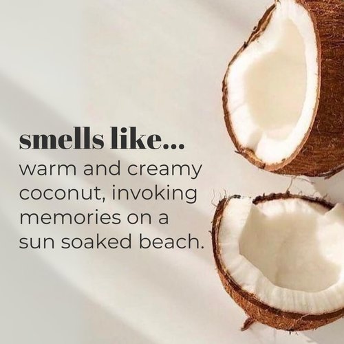 Mountain Ocean Skin Trip Coconut Body Lotion, 8 Oz (Pack of 3), Lightweight, Fast Asborbing Moisturizer for Women and Men, with Coconut Oil, Aloe Vera, & Lanolin