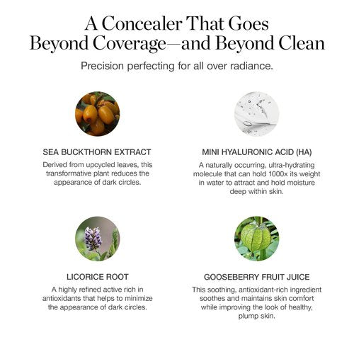 Ogee Complexion Perfecting Under Eye Concealer - Certified Organic Full Coverage Concealer - Buildable Coverage - OSIER 1.75W - Light Medium (Olive Undertones)