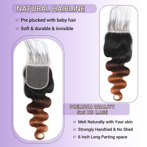 DSEKCAIN Ombre T1B/2/30 5x5 Lace Closure Body Wave Chestnut Brown Color 5x5 Transparent Lace Clsoure 100% Real Human Hair 12 Inch 150% Density