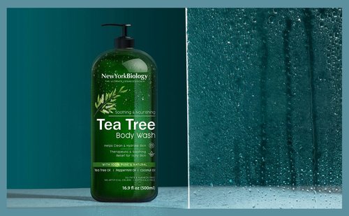 New York Biology Tea Tree Body Wash with Tea Tree Shampoo and Conditioner Set – Helps Itchy Skin Conditions & Body Odor - Deep Cleanser – Relief for Dandruff and Itchy Scalp – 16.9 fl. Oz