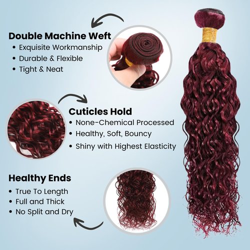 ALHER #99j Dark Burgundy Bundles Human Hair Water Wave, 12A Soft Thick Plum Cherry Wine Red Colored Wet n Wavy Single Bundle Salon-Grade 100% Unprocessed Virgin Hair Extensions Sew In Weft 12 Inch