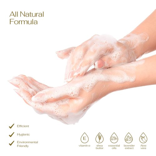 Foaming Hand Soap - Pack of 6 - Moisturizing Hand Soap with Aloe Vera & Essential Oils, Alcohol-Free Hand Wash in Citrus Blend, Lemon, Orange, Pomelo, Lime, Grapefruit, Hand Wash for Kitchen, Bathroom