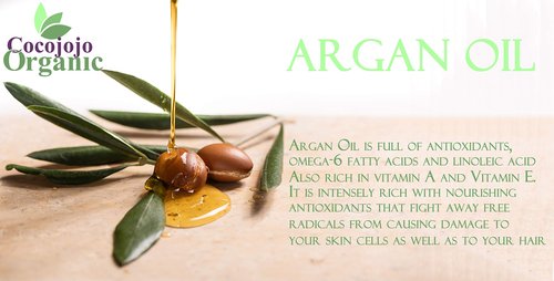 Dr Joe Lab Refined Argan Oil - Pure, Refined, Cold Pressed, Filtered, Unscented Bulk Carrier - 16 oz - for Skin, Hair, Nails, Body, Beard, Face & Cosmetic Formulation, DIY