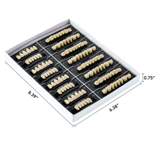 112 Pcs Dental Acrylic Resin Denture False Teeth Shade A3 T8, 4 Sets Synthetic Polymer Resin Fake Teeth for Replacement, Halloween, DIY (28pcs/set)