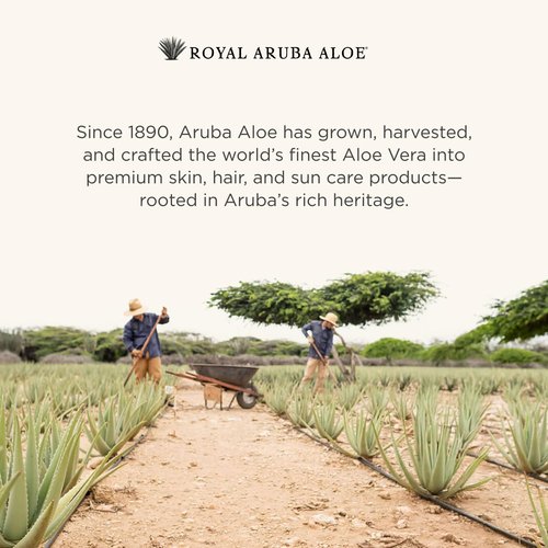 Aruba Aloe Refreshing Shower Gel - Gentle Cleansing, Soap-free, Hydrating Formula - Suitable for Sensitive Skin - 8.5 oz Bottle