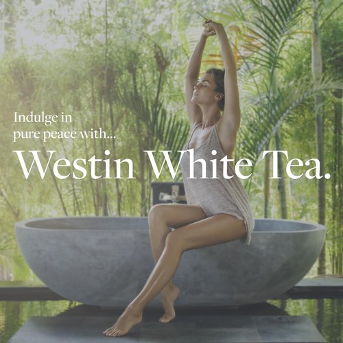 Westin White Tea Aloe Body Lotion | Hotel Spa Cream | Daily Hydration | Hand Lotion Pump | 8 oz Signature Scent Skin Moisturizer (Pack of 2)